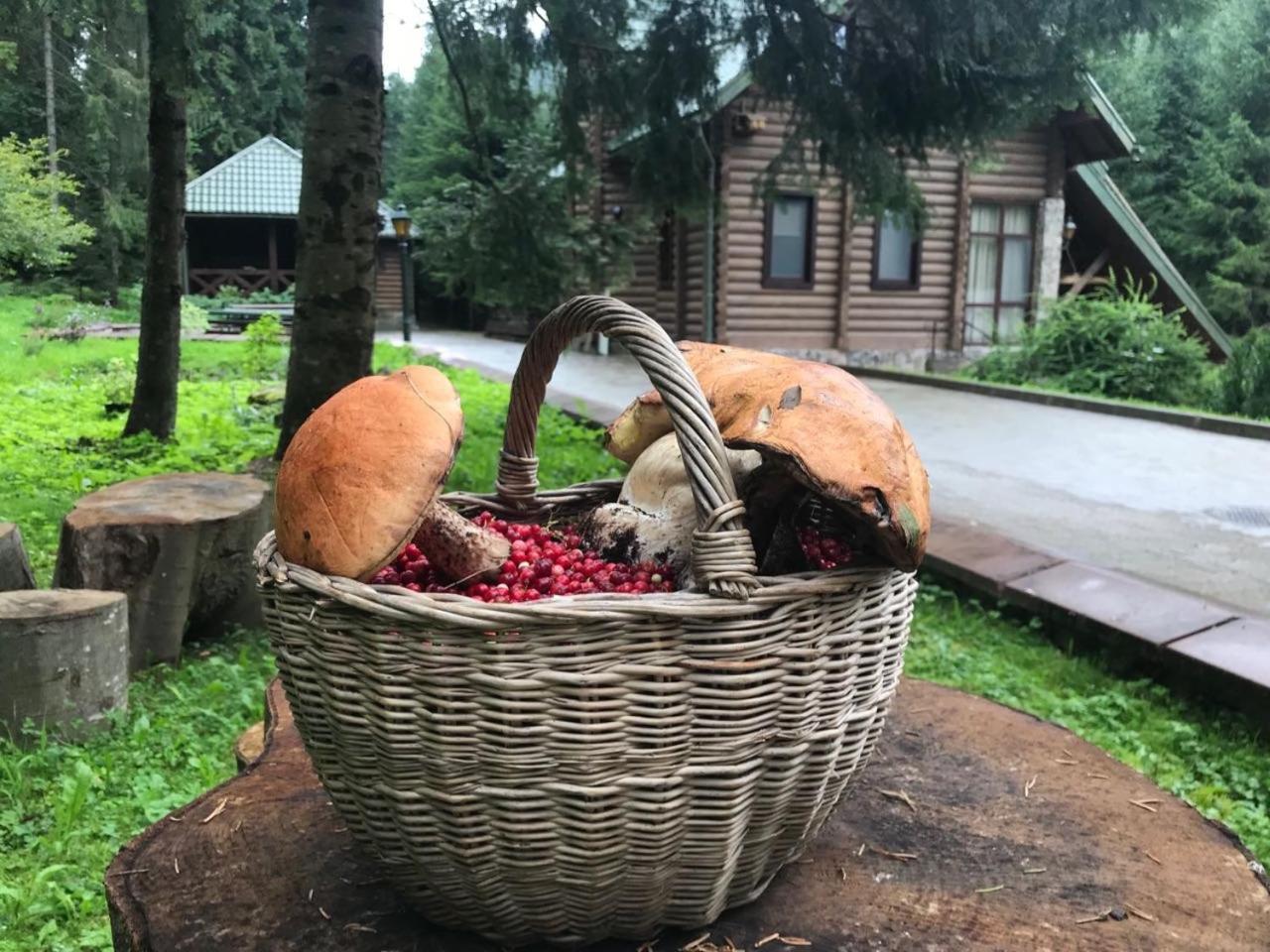 Лісовий Маєток สลาฟสเก ภายนอก รูปภาพ