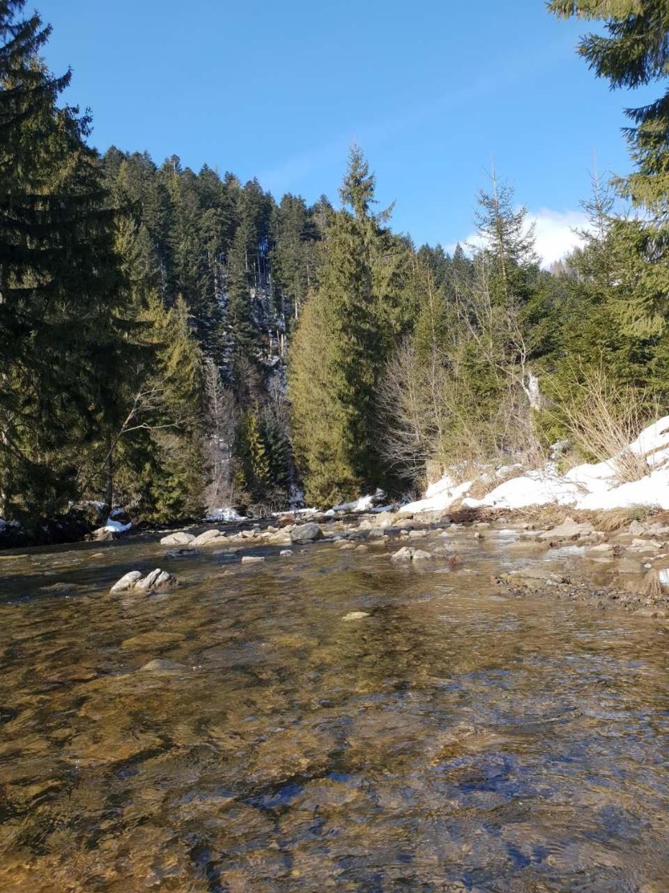 Лісовий Маєток สลาฟสเก ภายนอก รูปภาพ