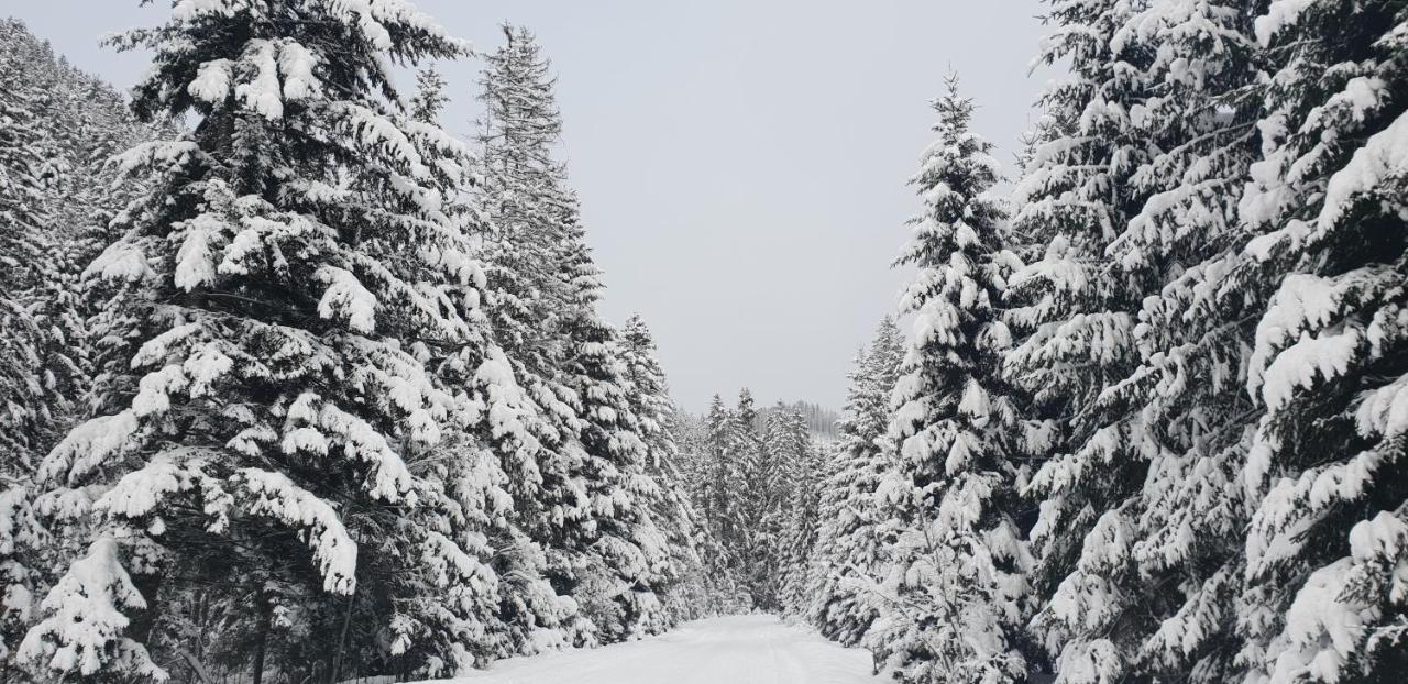 Лісовий Маєток สลาฟสเก ภายนอก รูปภาพ