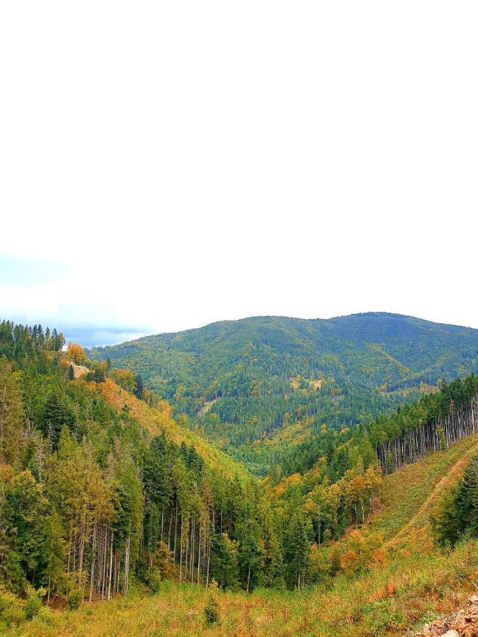 Лісовий Маєток สลาฟสเก ภายนอก รูปภาพ